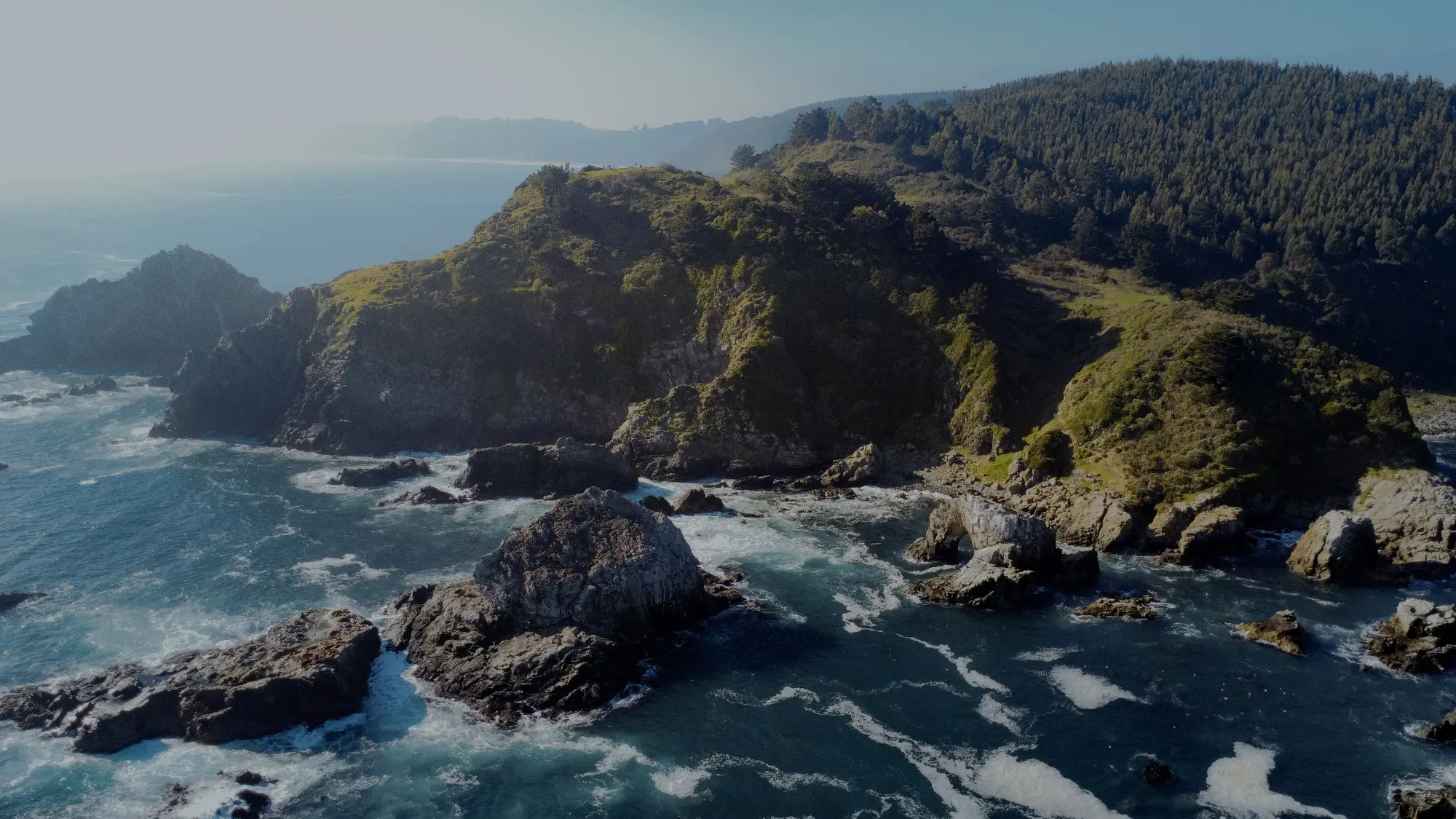Acantilados cubiertos de bosque sobre el mar en Cocholgüe